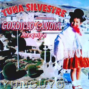 Tuna Silvestre Gordillo Candia - Yunguyo
